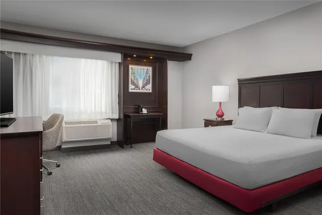 غرفة بسرير كينج لذوي الإعاقة، Hampton Inn Suites By Hilton Omaha Downtown 1/5