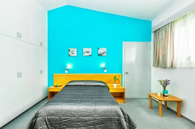 غرفة اقتصادية مفردة بسرير مزدوج، Troodos Hotel 1/1