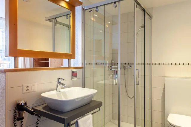 Alpine, Single، Hotel Jaegerhof 10/12