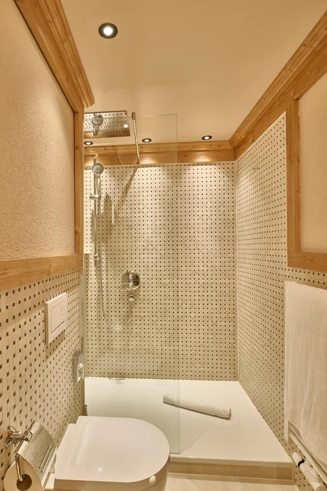 Elegant, Alpine, Single، EUROTEL VICTORIA LES DIABLERETS 5/5