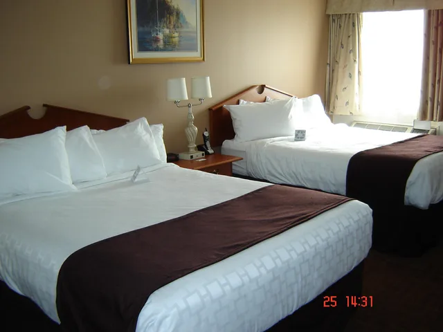 Business, 2 Queen Beds, Best Western Thunder Bay Crossroads 5/8