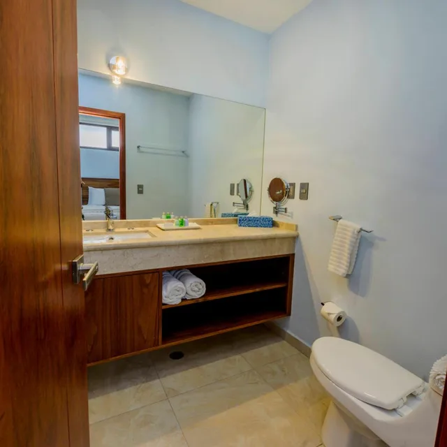 Standard, Double Bed, Suites de la Parra 4/7