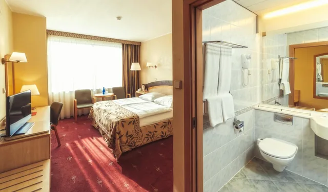 غرفة مفردة بسرير مزدوج، Hotel Park Plaza 4/4