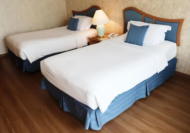 غرفة سوبيريور بسرير مزدوج أو سريرين منفصلين، Grand Palace Hotel 2/6