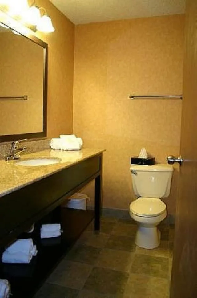 Efficiency, Studio, King Bed, Sofa، Quality Inn Dunkirk NY 4/4