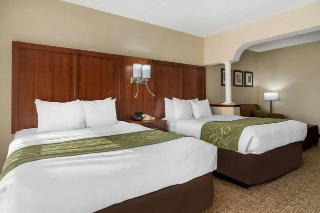 جناح ديلوكس بسريرين كوين، Comfort Suites Woodstock - Atlanta North 3/5