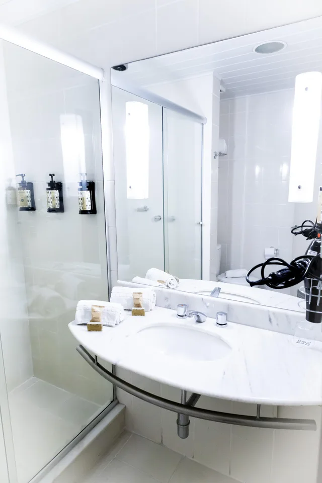 Standard, Double Bed, Street View، Novotel Porto Alegre Tres Figueiras 4/4