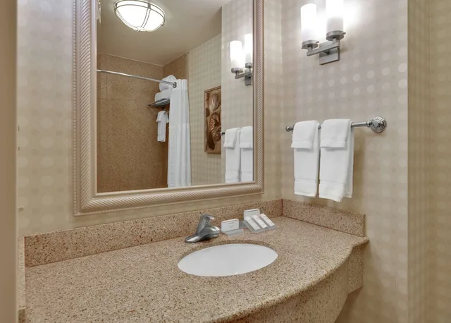 غرفة بسرير كينج بحوض استحمام لذوي الإعاقة، Hilton Garden Inn San Diego Del Mar 2/2