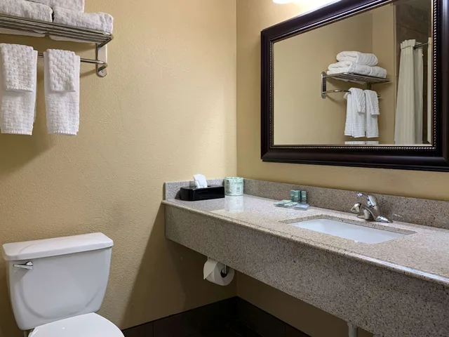 غرفة قياسية بسرير كينج، Comfort Inn Saint Paul East MN 2/3