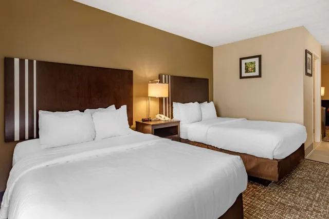 جناح بسرير مزدوج، Comfort Inn Paducah I-24 1/3