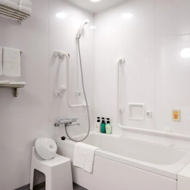 Room, King Bed, City View, HOTEL Crown Hills Ueno Premier (ex Life Tree Ueno) 6/7