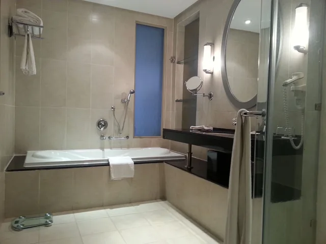 غرفة قياسية بشرفة، Radisson Blu Alexandria 9/10