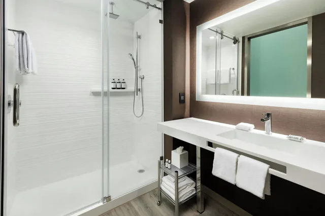 Studio, Multiple Beds, AC Hotel St. Petersburg 3/3