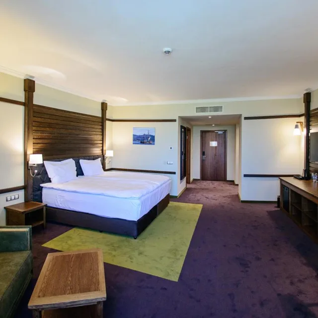 غرفة تنفيذية بسرير مزدوج أو سريرين منفصلين، Hot Springs Medical & Spa Hotel 2/8