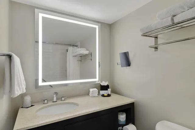 1 Bedroom, City View, Hotel Tampa Riverwalk 3/3