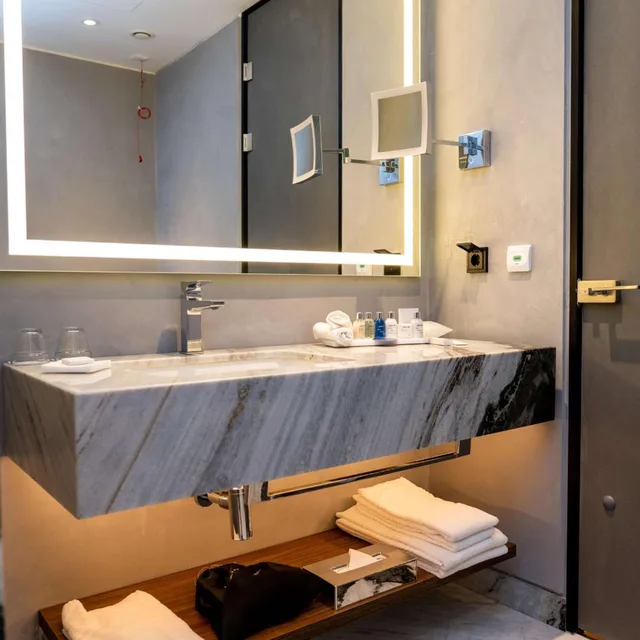 Premium, Double Bed, City View, Radisson Blu Aurum Hotel Brasov 7/10