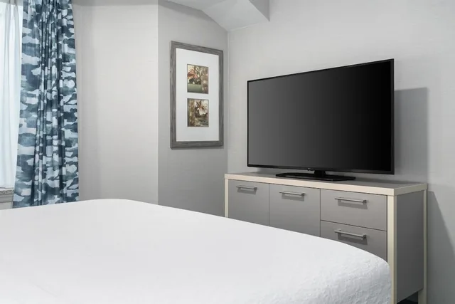2 Bedrooms, Premier, Suite, 1 King and 2 Queen Beds, 2 Bathrooms, Sofa, Accessible, Homewood Suites By Hilton Williamsburg 6/9