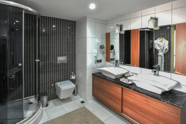 جناح، Anadolu Hotels Esenboga Thermal 2/2