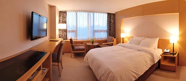 غرفة قياسية بسرير مزدوج، Interciti Hotel 1/9