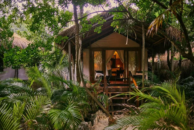 Jungle, King Bed، Our Habitas Tulum 6/7