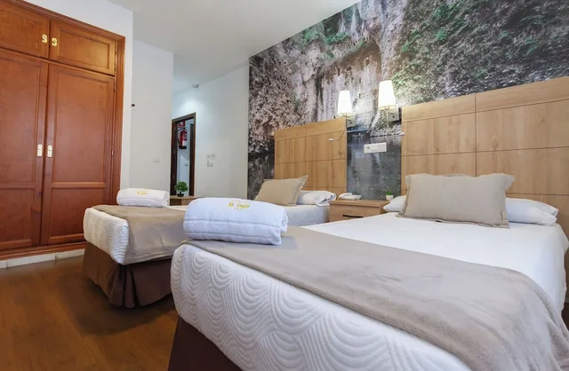 غرفة قياسية بسريرين منفصلين، Hotel El Tajo and Spa 1/10