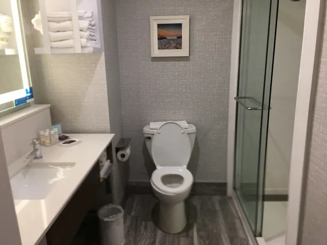 Room, King Bed, Sofa, Hampton Inn Old Bridge 3/4
