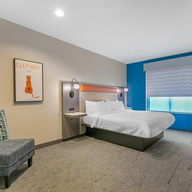 Deluxe, Suite, King Bed, Holiday Inn Express & Suites Clemson - Univ Area 3/4