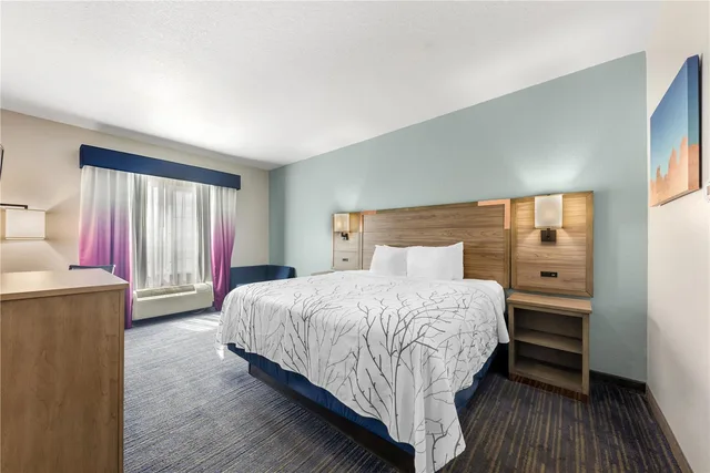 Room, King Bed, Best Western Plus San Antonio East Inn and Suites 3/4