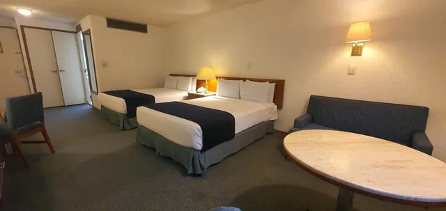 جناح جونيور ديلوكس، Bristol Hotel 1/8
