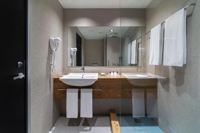 غرفة قياسية بسرير فردي، Holiday Inn Tbilisi 4/4