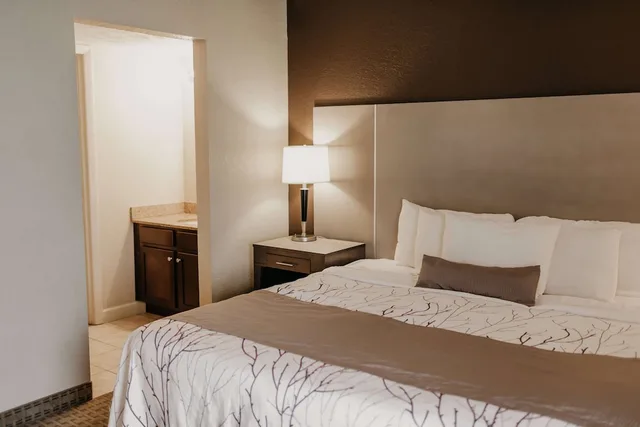 Loft, Suite, 2 King Beds, Sofa، Eastland Suites Hotel & Conference Ctr, Trademark by Wyndham 1/6