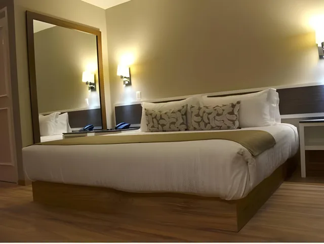غرفة تُحدَّد عند الوصول، Hotel Plaza Revolucion 1/1