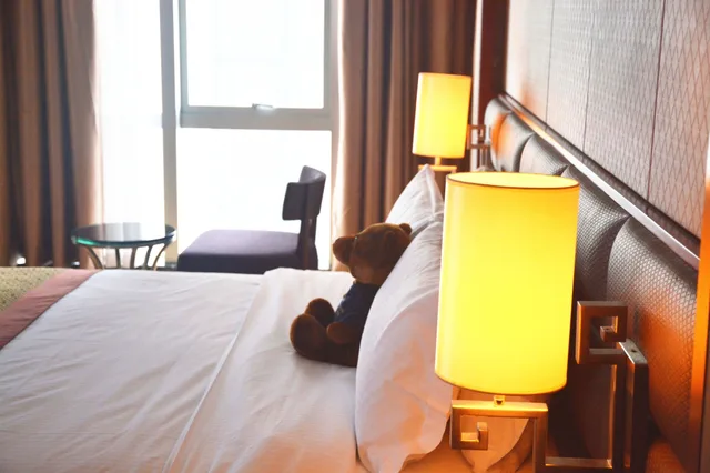 غرفة سوبيريور بسرير كينج، Avant-Garde Hotel 3/3