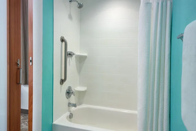استوديو بسرير كينج مع أريكة لذوي الإعاقة، Springhill Suites by Marriott Orlando at Seaworld 1/4