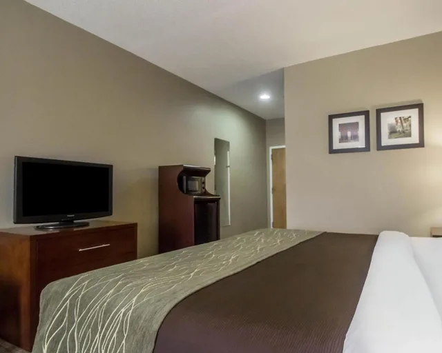 Room, King Bed, Accessible, Comfort Inn Amite City 5/6