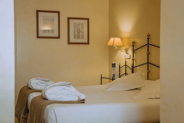 غرفة مفردة بسريرين منفصلين، Hotel Termes La Garriga 5/5