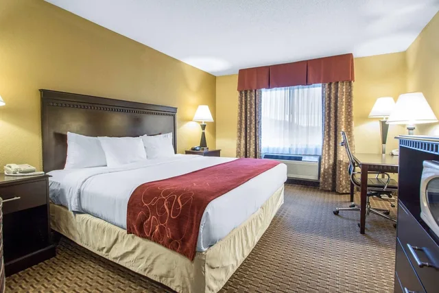 جناح بسرير كينج مع أريكة، Comfort Suites Wisconsin Dells Area 1/8