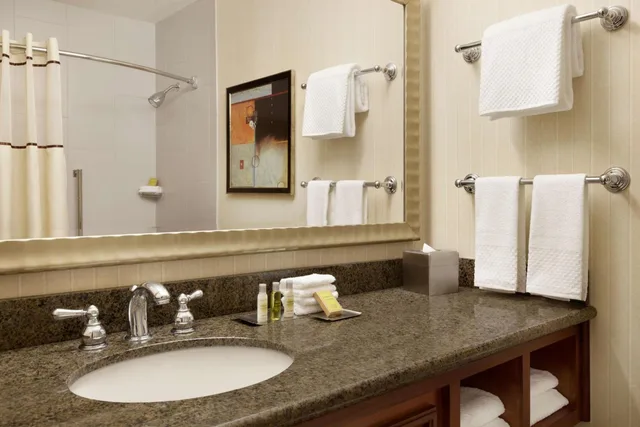 جناح جونيور بسرير كينج مع أريكة، Doubletree Hotel Minneapolis Park Place 3/4