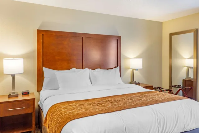غرفة بسرير كينج لذوي الإعاقة، Comfort Inn DeKalb - University Area 2/4
