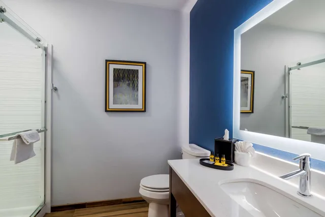 غرفة بسرير كينج، Best Western Plus St Louis Airport Hotelbest Western Plus St Louis Airport Hotel 9/9