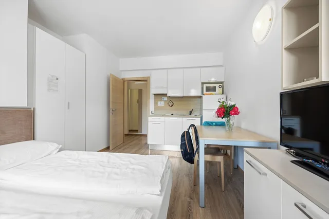 Panoramic, Studio, Double Bed, Valley View, Balcony، Residence Lagorai 2/7