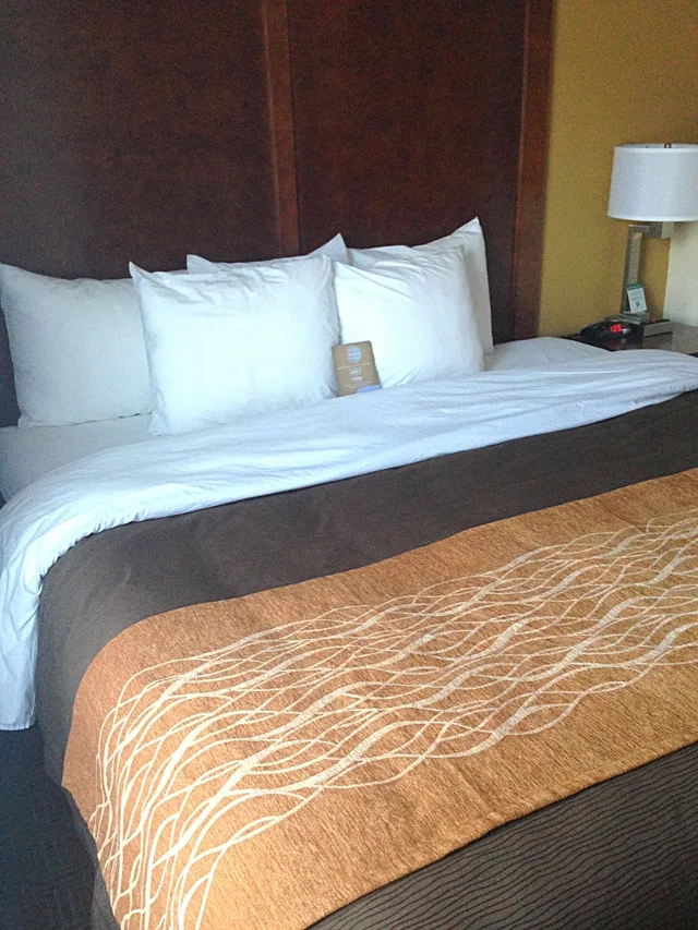 غرفة قياسية بسرير كينج، Comfort Inn & Suites Brattleboro I-91 4/5