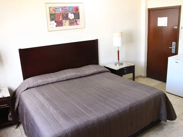 غرفة قياسية بسرير كينج، Hotel America Centro 8/10