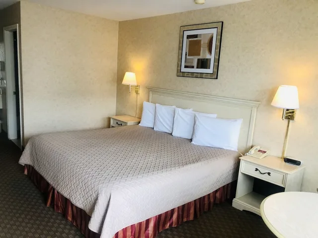 Standard, King Bed, Courtyard Area، Court Plaza Inn & Suites 3/6