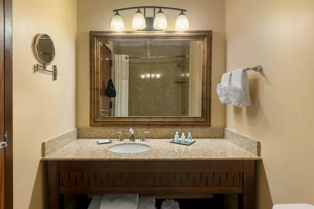جناح ديلوكس بسرير كينج، Wyndham Riverfront Little Rock 4/5