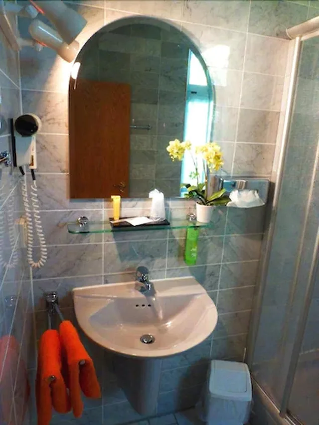 Business, Double or Twin Bed, Parkhotel Waldschlösschen 10/10