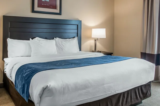 جناح بسرير كينج مع أريكة بحوض جاكوزي، Comfort Suites South Bend Near Casino 8/8
