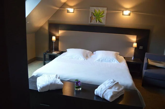 جناح بإطلالة على البحيرة مع أريكة، Hotel Les Rives 1/2