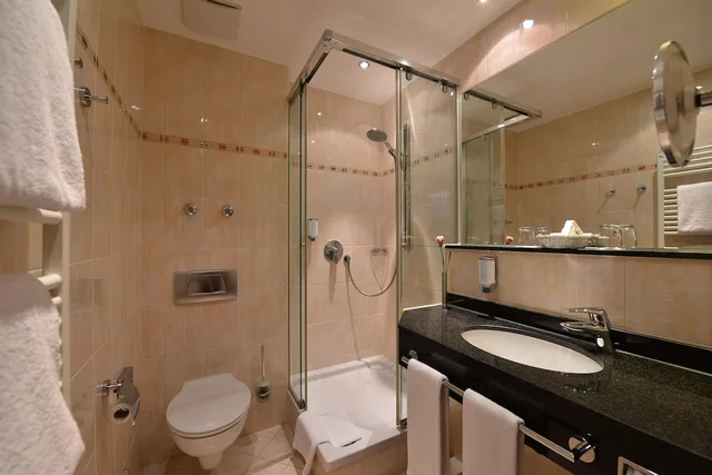 Standard, Convertible Double Bed, Balcony، Best Western Plus Hotel Erb 6/7