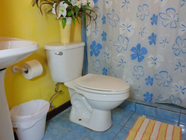 غرفة تنفيذية بسرير كوين، Casa Lima Bed & Breakfast 3/3